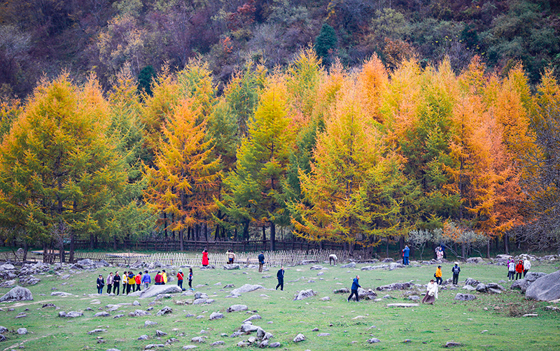 2023年10月27日，深秋時節(jié)的陜西秦嶺太子嶺漫山紅黃、色彩交織，進入最佳觀賞期。